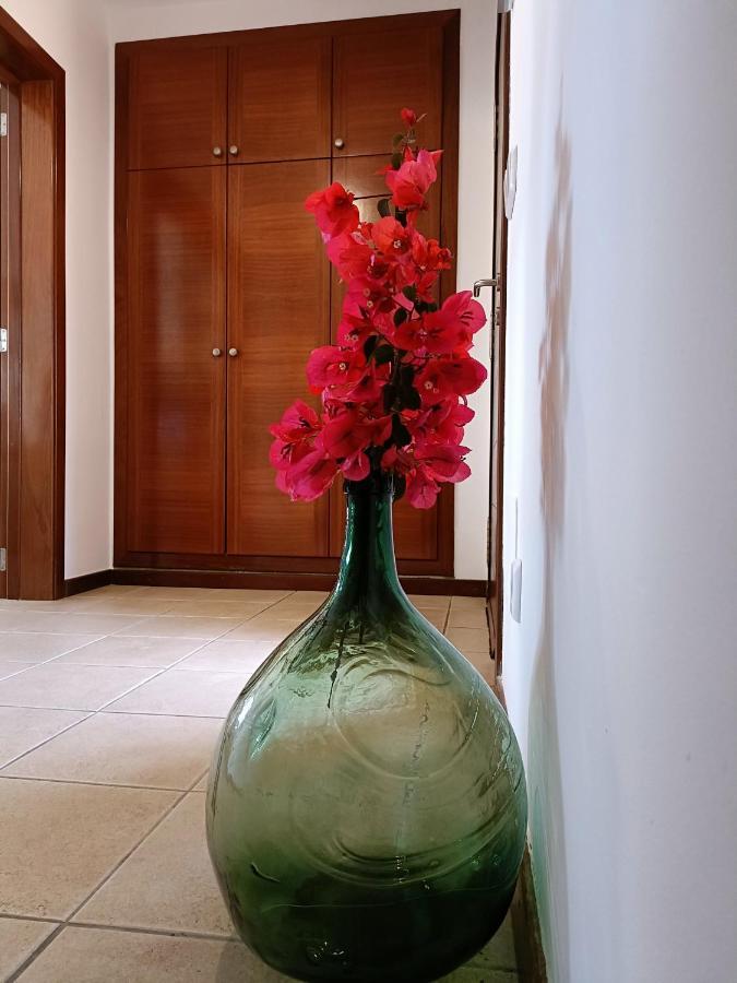 אס מרקדל Villa Vega Relax En El Paraiso מראה חיצוני תמונה